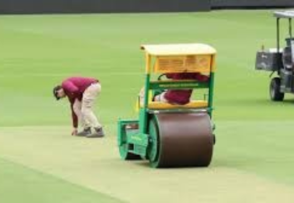 BGT 2024-25: Gabba pitch set to favour pacers, hints curator